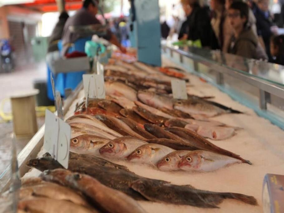 Reve De Proche De La Martigues